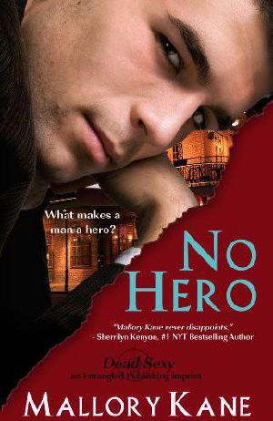 [Louisiana Lawmen 01] • No Hero